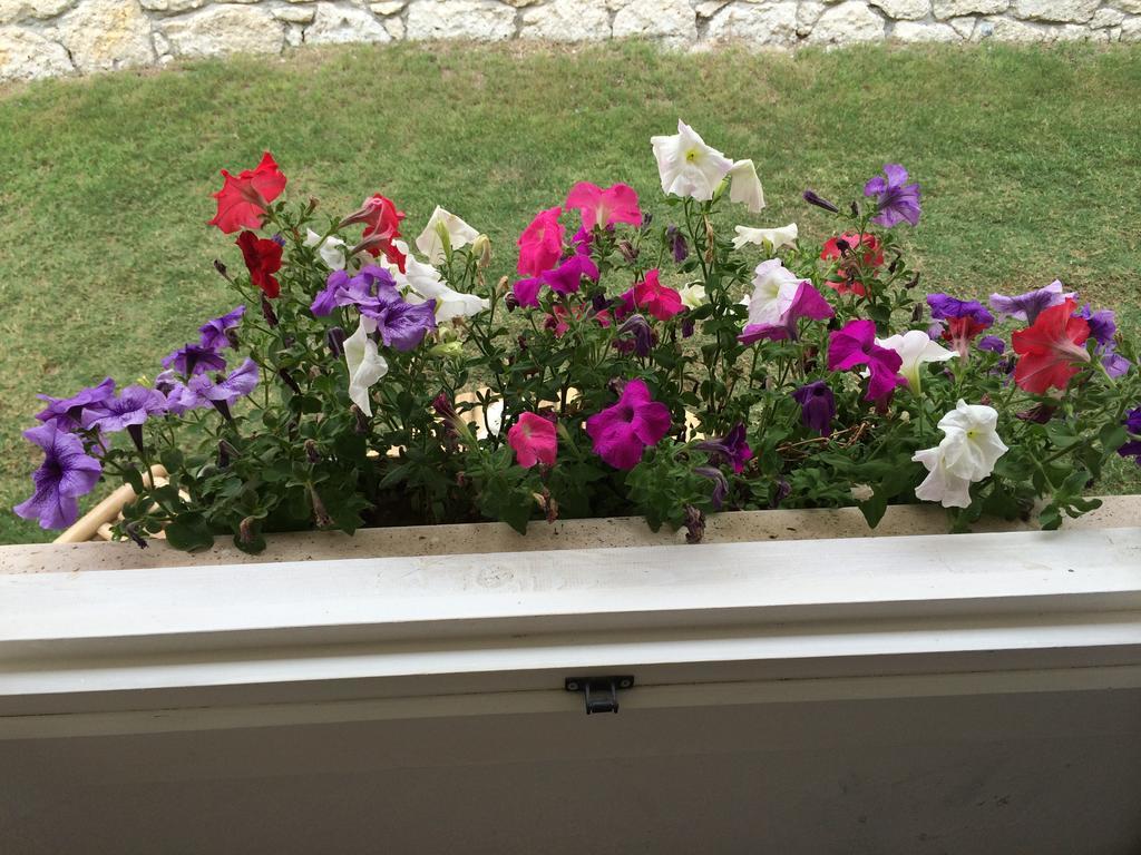 Alacati Roka Hotel Room photo